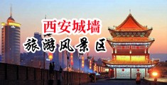 美女BB被操中国陕西-西安城墙旅游风景区